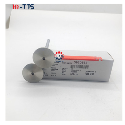 4BT 6BT 6D102 डीजल इंजन इनलेट वाल्व निकास वाल्व 4995554 3901117 3920867 3920868