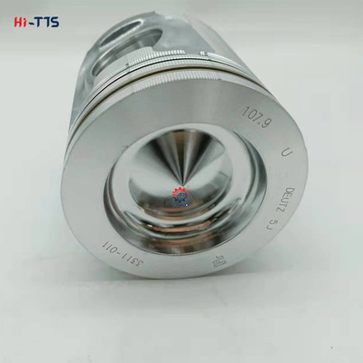 0450 1352 04501352 04294197 डीजल इंजन के लिए पिस्टन किट