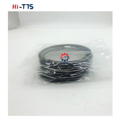 08-167600-10 50000988 पिस्टन रिंग्स सेट 120MM एसटीडी के लिए FL914 इंजन स्पेयर पार्ट्स