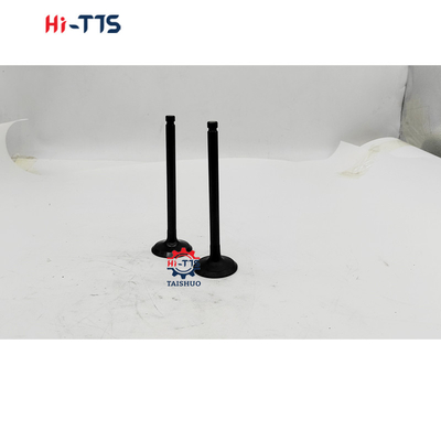 उच्च गुणवत्ता 6D16 इंजन वाल्व ME031937 ME031939 ME031558