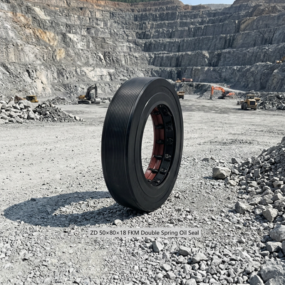 ZD50×80×18 डबल स्प्रिंग संयुक्त कंकाल तेल सील लोडर गियरबॉक्स के लिए उच्च तापमान तेल प्रतिरोधी आयताकार संरचना विस्तारित जीवन सील